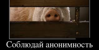 По пути в США, я предвкушал красивую жизнь в цивилизованной стране