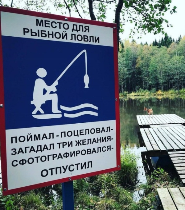 Прикольные надписи и объявления