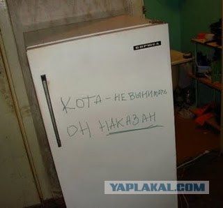 Не запирайте кошку в ванной