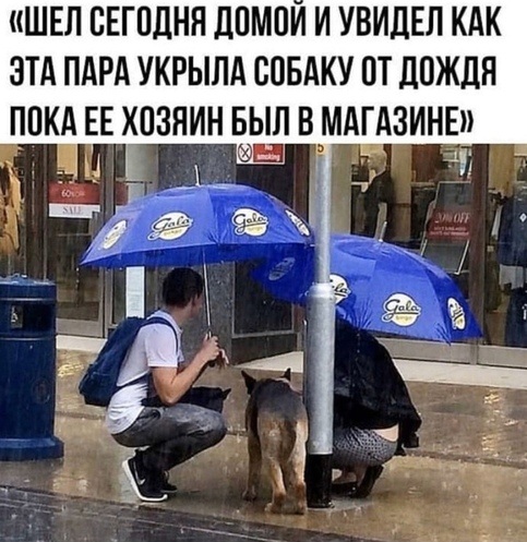 Чуток картинок 14.10.19