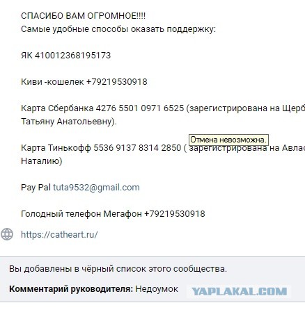 Помогите вернуть кота! Приют "Преданное сердце" украл кота и не отдает!