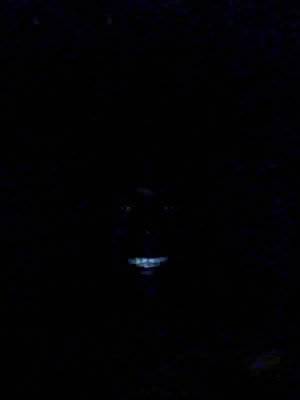 Очередной Наполеон (не полководец)