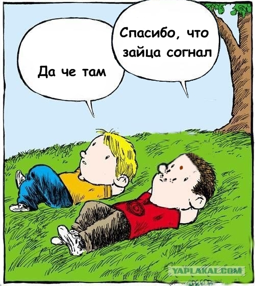 Смотрим на облака вместе