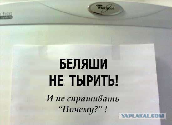 Выхожу на работе пообедать и вижу.... О_o