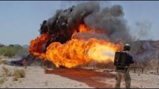 На выборы в Госдуму могут пойти Алла Пугачёва, Валерия, Павел Воля и Игорь Акинфеев