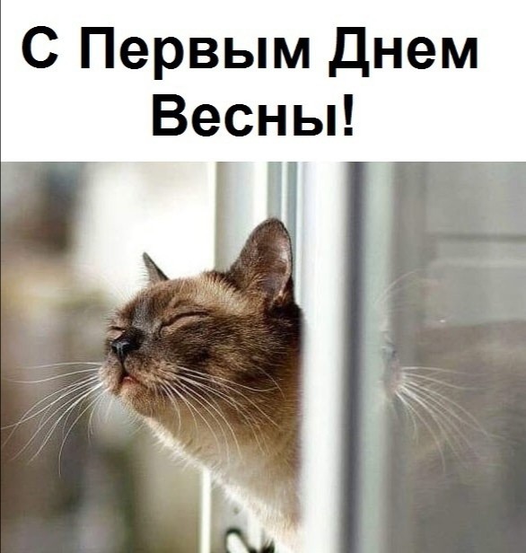 Не очень адекватный юмор