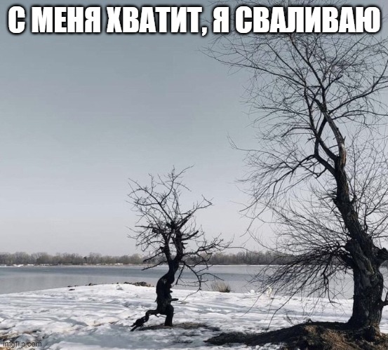 Баянисто-небаянистый юмор 3.03.21