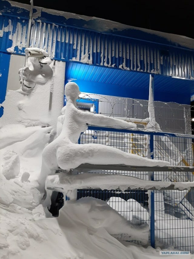 Мадам и месье, снова бонжур