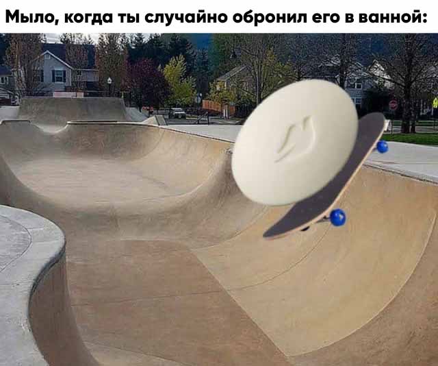 Весёлый полтишок 22.03