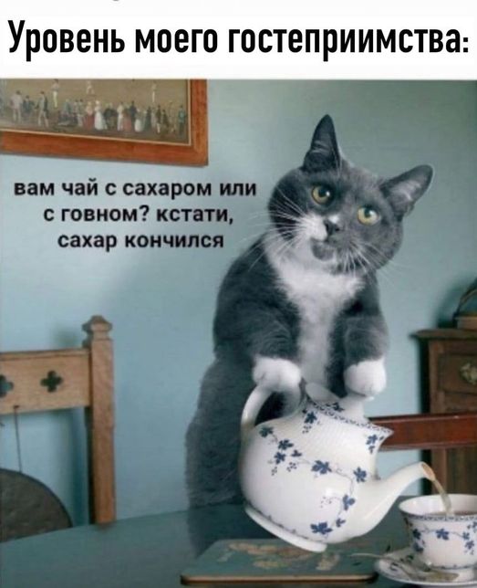 Сосаити (общество как оно есть)