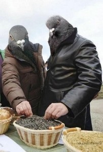 Как правильно делать съёмку