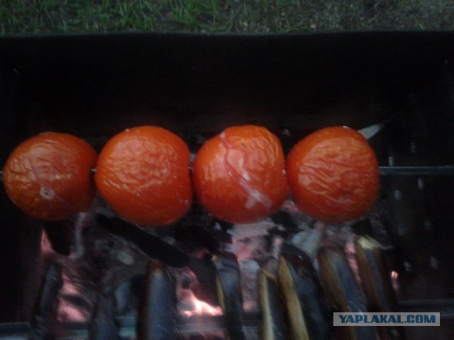 Дача, грибы, мясо, овощи.