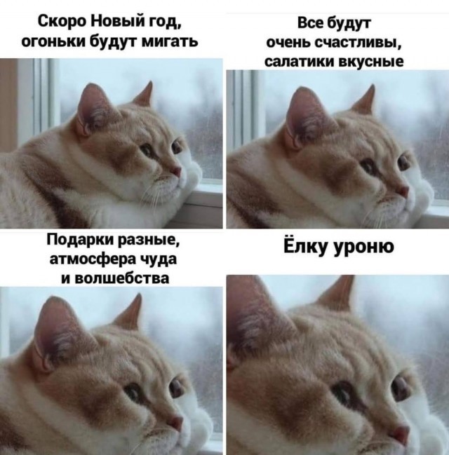 Картинки и мемы для настроения 16.11.2021