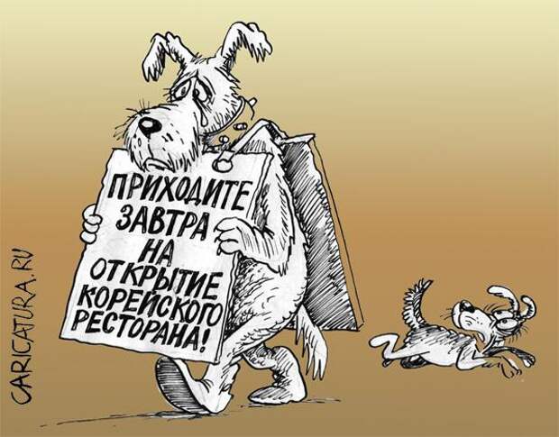 Едят ли корейцы собак?