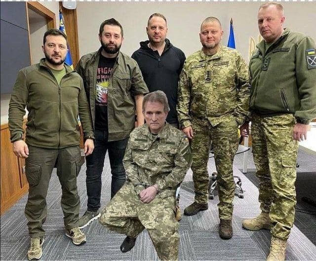 Поймали Медведчука