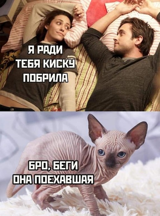 40 пятничных картинок разных 15.04.2022