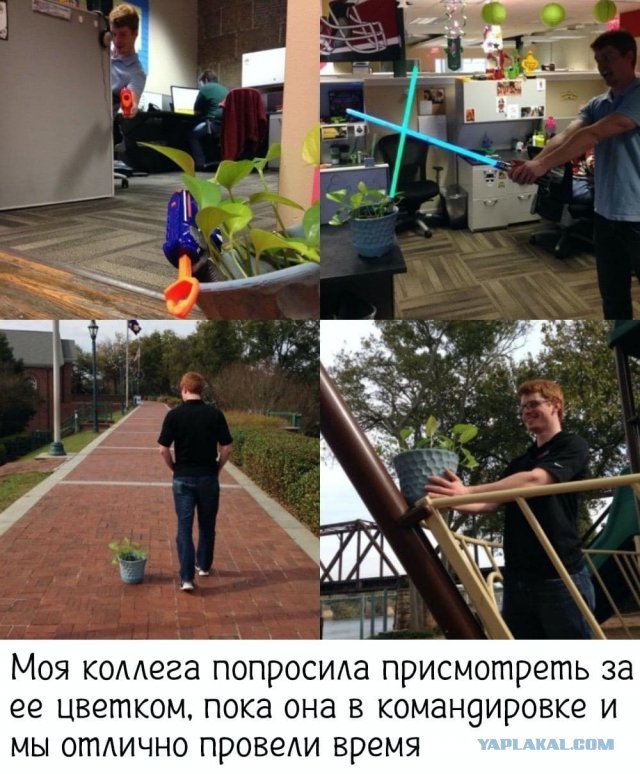 Картинки 20.05.22.