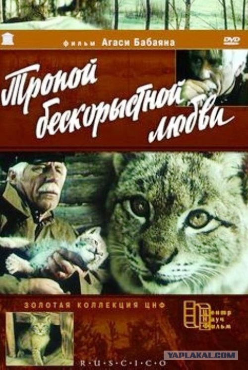 Рысь