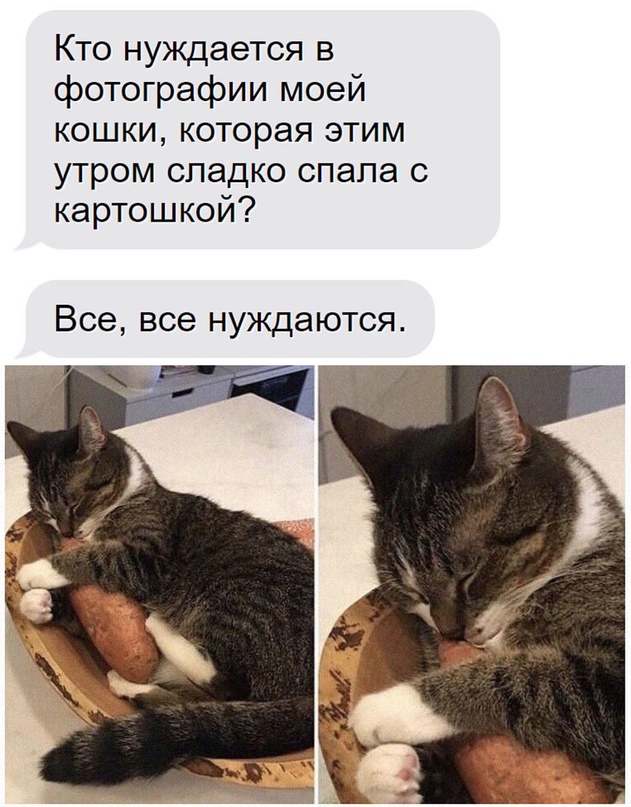 Картинки и мемы для настроения - 17