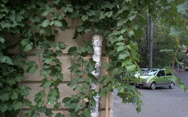 Ураина и украинцы глазами русских.