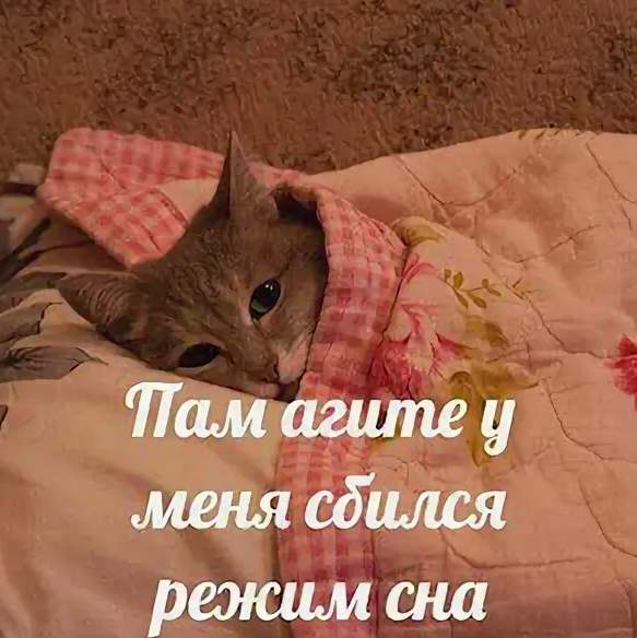 Нафиг оно мне надо