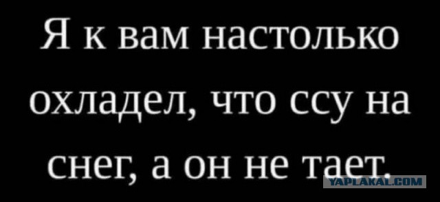 Весёлый полтишок 12.10.22