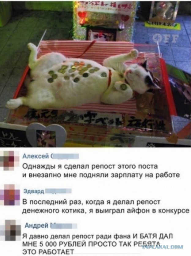 Скриншоты и комментарии из социальных сетей 10.12.22