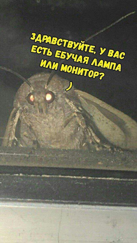 Народная меДИЧина 4012