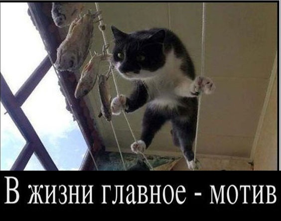 Так себе картинки 26.01.23