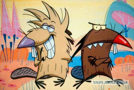 Попытка сфотографироваться с бобром