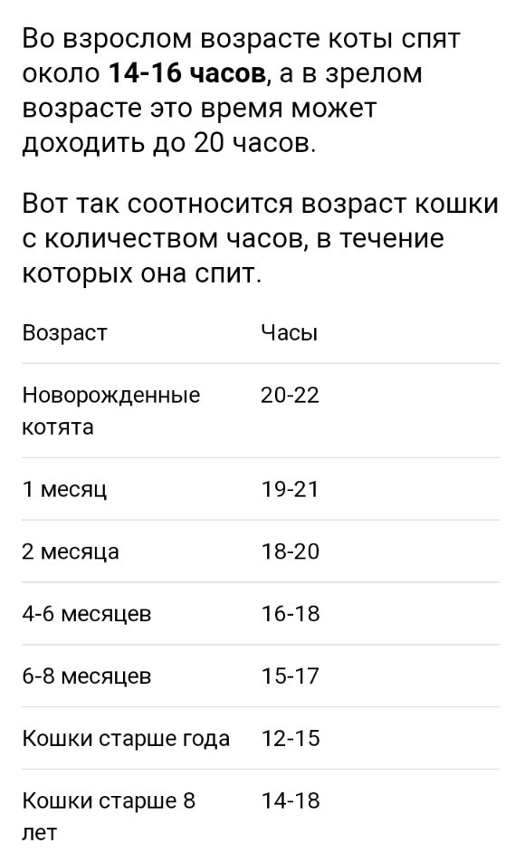 Походу мой кот бухает втихаря