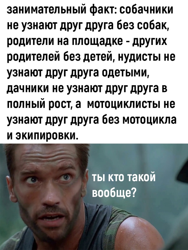 Скупка краденого из сети 09-08-2023