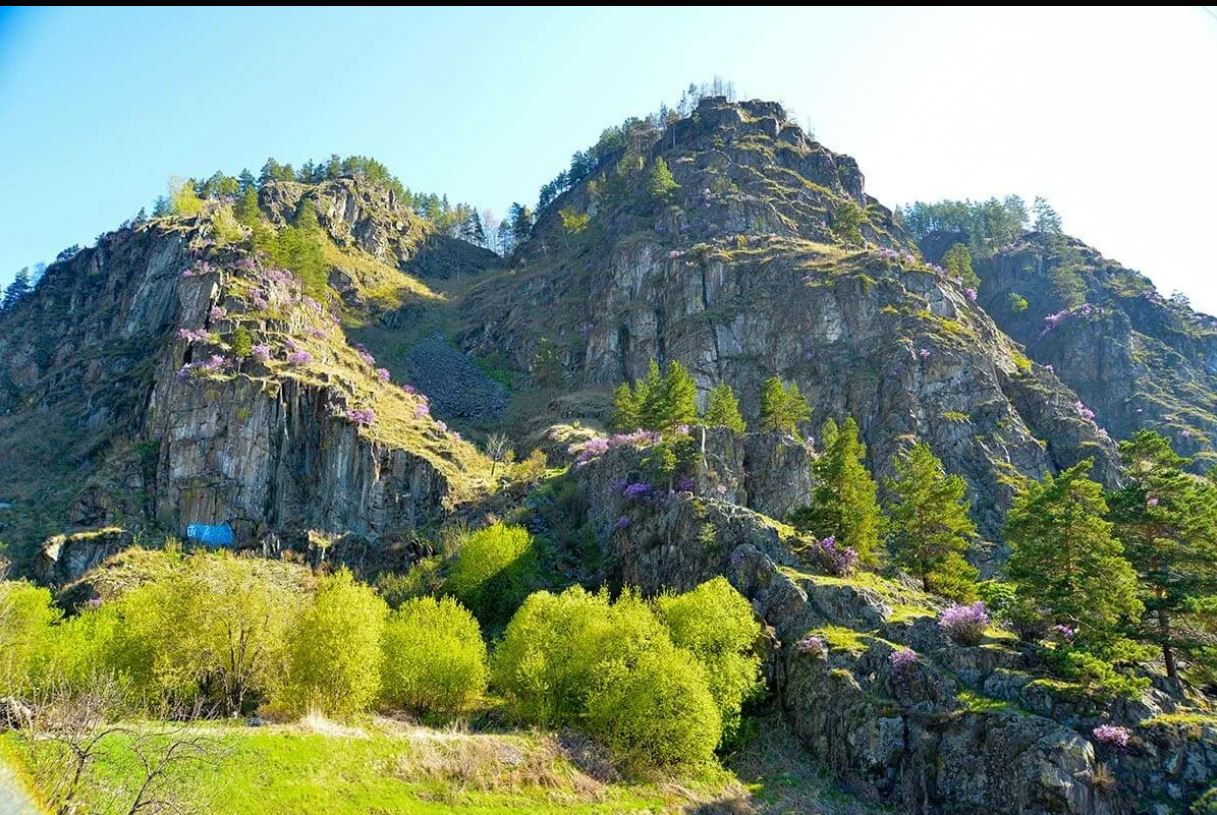Алтайский край город в горах