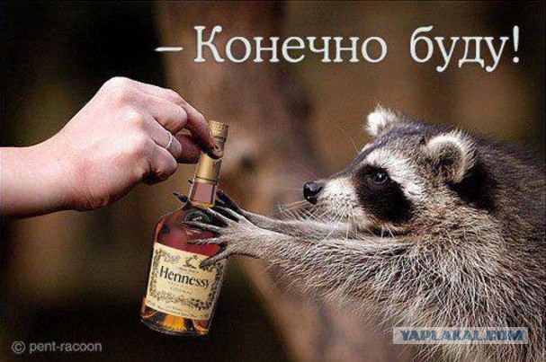 Заебись живём