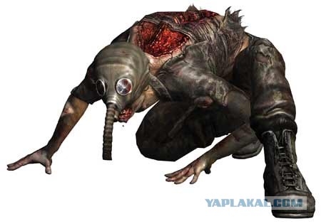 Эволюция глазами Российской армии