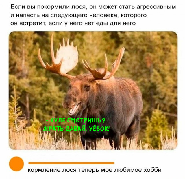 Пятница-жжжж... Баяны-жжжж...