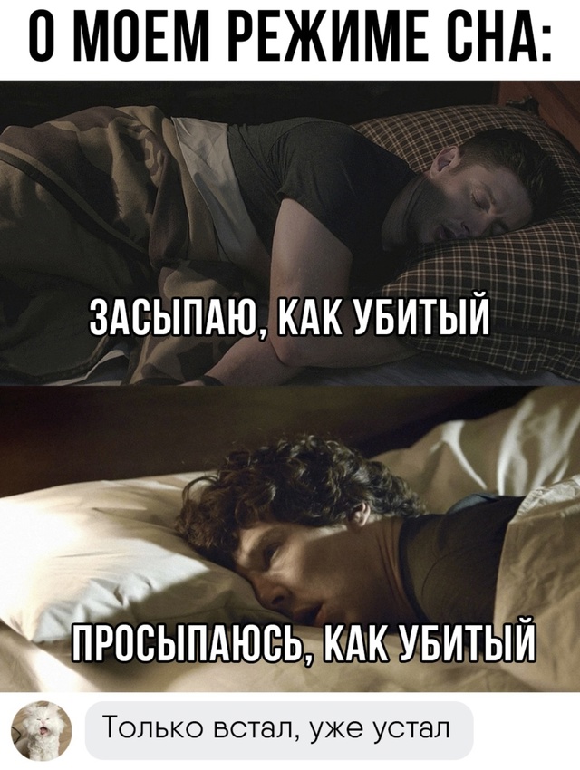 Весёлый полтишок 29.08.24