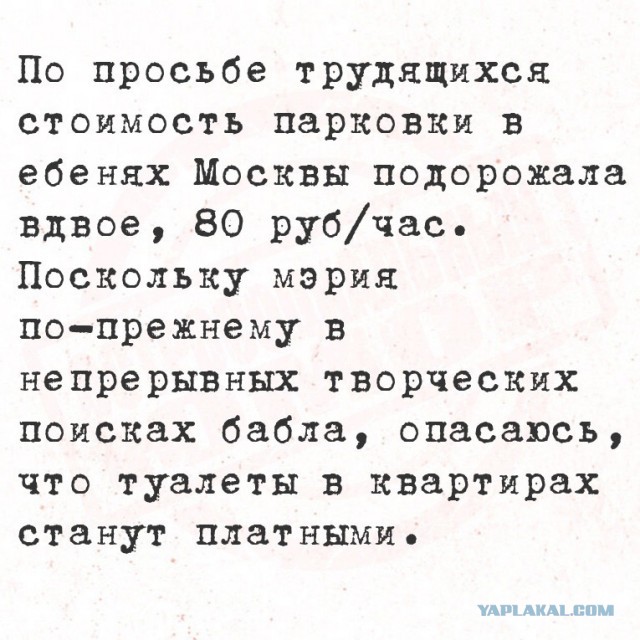 Весёлый полтишок 10.12.24