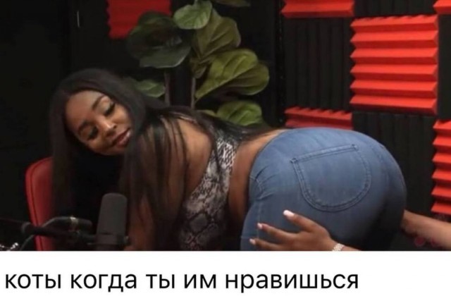 Так себе картинки 22.12.24