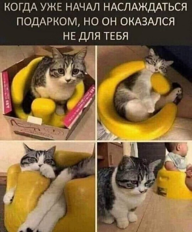 Так себе картинки 04.05.25