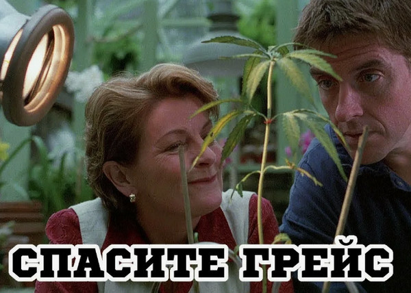 Повязали агронома
