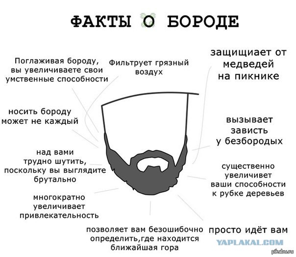 Сильная борода. История бездомного бойца.