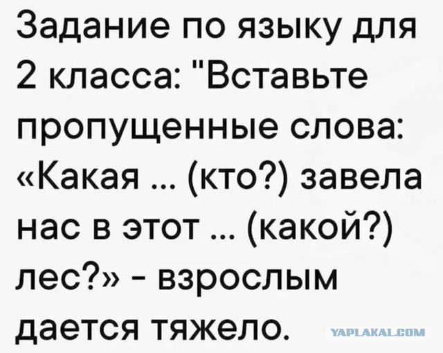 Небаянистая деградация 5