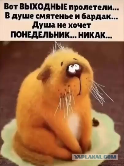 Небаянистая деградация 11
