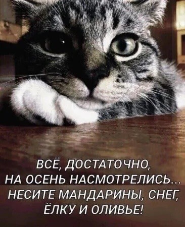 Картинки понедельника