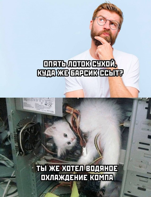 К котовторнику: подборка картинок-баянов с котиками и про котиков. Выпуск 27.