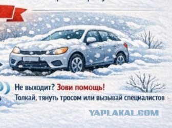 Сова ты там живой?