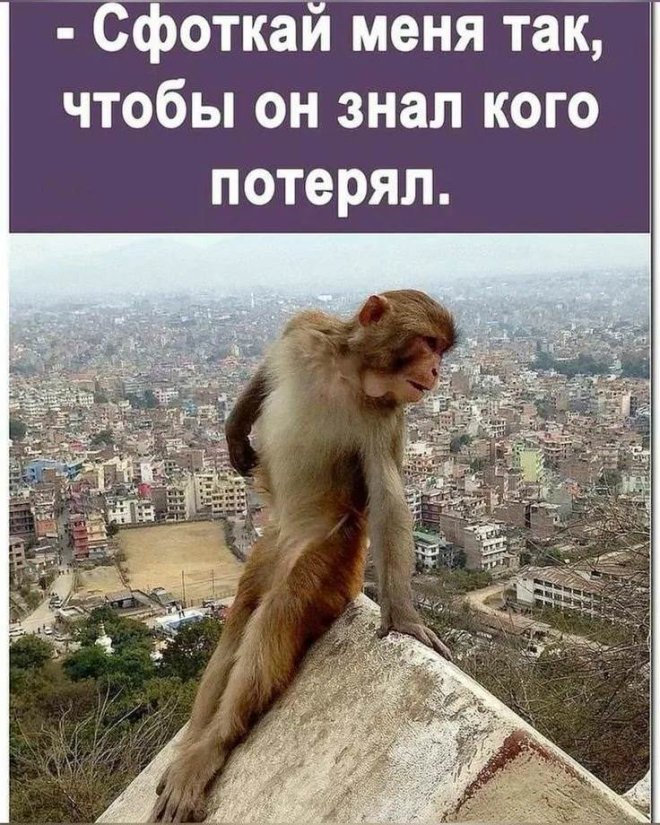 20753165.jpg
