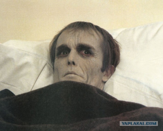 Девушка жалуется: бабы годами не кончают, а мужчины-скорострелы не удовлетворяют