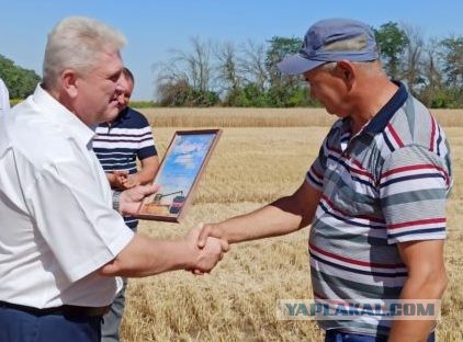 Деревенская работящая из Италии